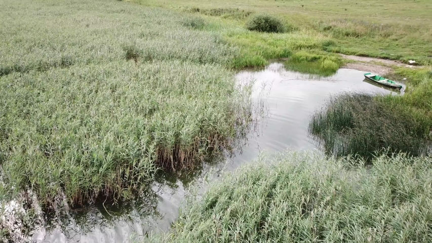Beautiful landscape of Yanovichi lake