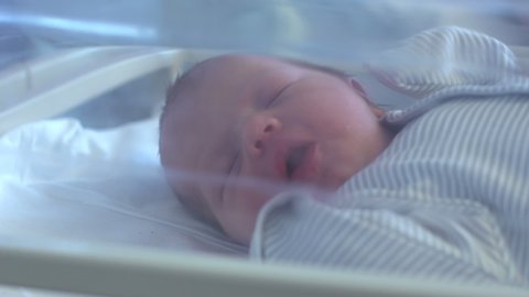 4K: Newborn baby sleeping in hospital bed on the Maternity ward. Looking through the glass. Stock Video Clip Footage