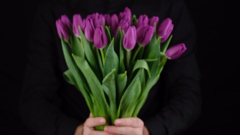 give flowers. man in black shirt give bouquet of flowers purple tulips, closeup black background