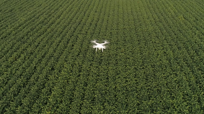 Smart agriculture drone flying over agriculture in the field of innovation and technology. | Shutterstock HD Video #1047412330