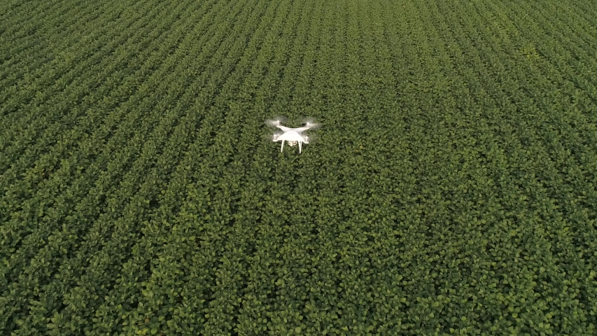 Smart agriculture drone flying over agriculture in the field of innovation and technology. Royalty-Free Stock Footage #1047412330