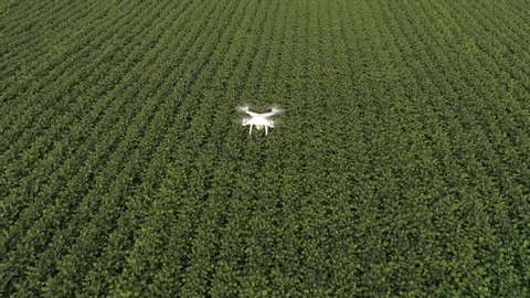 Smart agriculture drone flying over agriculture in the field of innovation and technology.