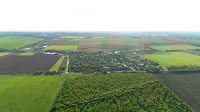 Russian village among the wheat fields and orchards, with views of the lake. Flight over the village of "Muscat". Perspective. Houses among the trees.
 - Powered by Shutterstock - Get 15% off with code: PIKWIZARD15