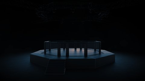 Lightning the empty MMA cage before the fight. Camera bright flashlights are flashing. Sport 4K professional background animation.