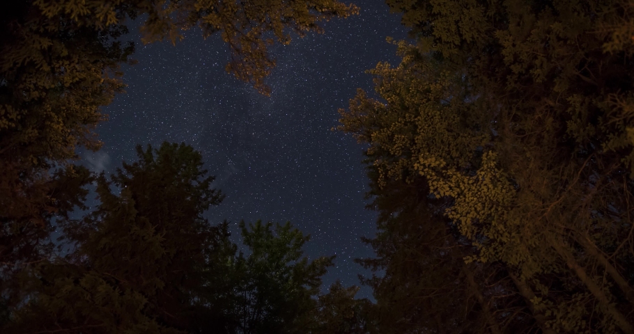 Time lapse of stars through trees lit up by campfire. Includes 2 shots - 1 wider shot in New Hampshire, USA, and 1 tighter shot in Ontario, Canada.