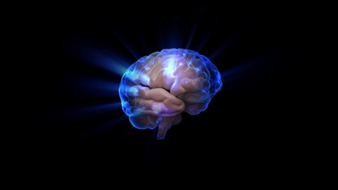 Human brain with neuronal impulses. Blue human brain making light and rotating spining. X-ray The shiny of intelligence, Light ray Blue brain activity. 3D rendering animation background
