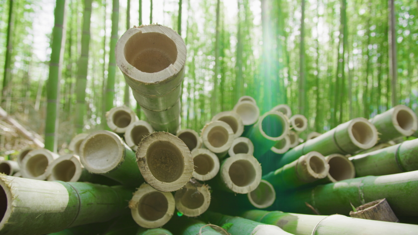 Close up footage of cut organic bamboo poles ready to be processed into sustainable green products. Bamboo forest in background. Flare. Royalty-Free Stock Footage #1047430231