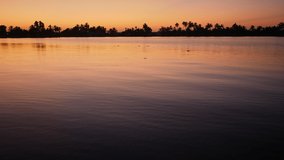 Video loop of tropical lake at sunrise, Kerala / India