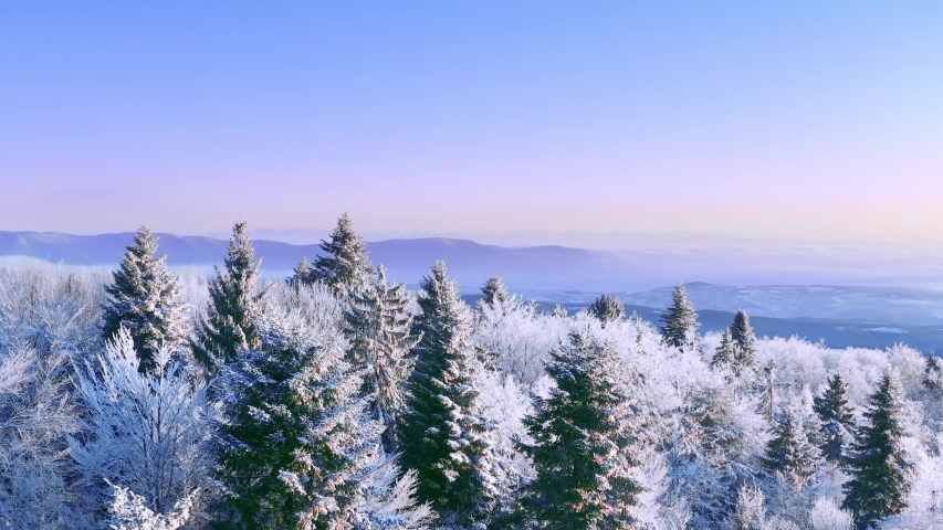 Snow Covered Winter Trees Alpine Landscape Early Morning Sunrise Holiday Travel And Tourism Frosty Tree Tops Vibrant Colors Aerial 4k | Shutterstock HD Video #1047453595