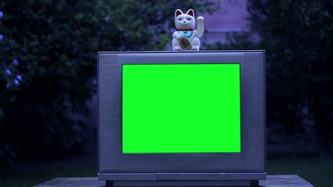 Cat over an Old TV with Green Screen. Night Tone. You can Replace Green Screen with the Footage or Picture you Want with “Keying” effect in After Effects (check out tutorials on YouTube). 