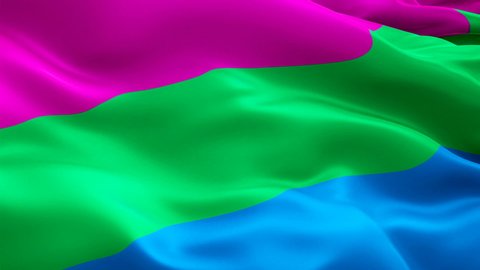 Rainbow Polysexuality Pride Flag video waving in wind. Polysexual Flag background Polysexual play,fantasies. Rainbow Pride Polygender Flag Looping Closeup 1080p Full HD 1920X1080 footage Rainbow
 Stock-video