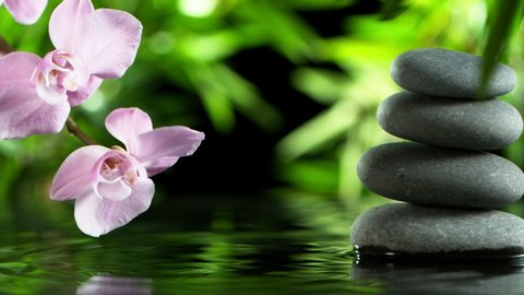 Stones Red Hibiscus Bamboo On Water Stock Photo 135199910 | Shutterstock