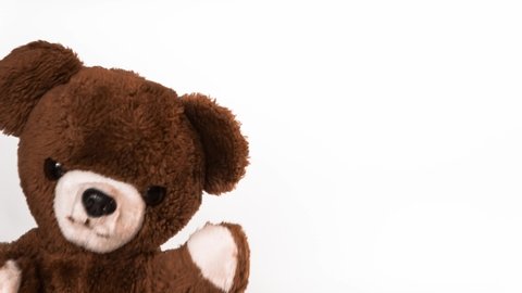 Teddy bear peeking. Cute brown teddy bear showing up on white background