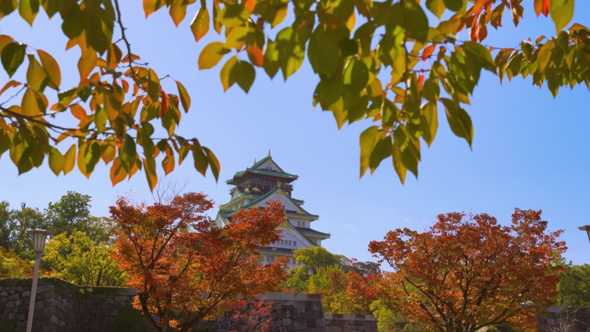 Osaka Castle park in Osaka, Japan in autumn in 4k