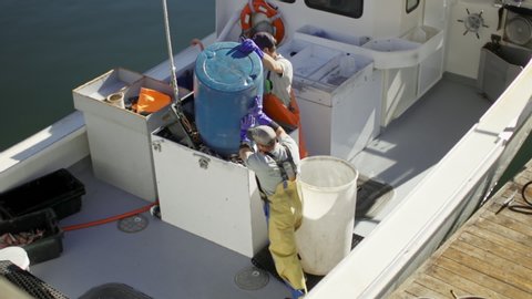 Rockport, Maine / USA - September 24, 2014: Fishermen load bait for lobsters
