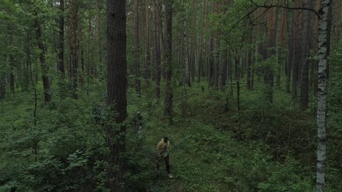 People walk in the forest. Aerial view.
National park Pripyshminskie Bory in Talitskiy district, Sverdlovsk region, Russia.