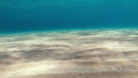 Stunning shot of the calm ocean seabed with ripply sand floor
