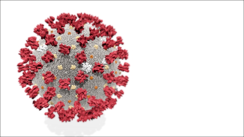 Realistic 3D animation of the Coronavirus 2019-nCoV Wuhan. SARS-CoV-2 known as 2019-nCoV, COVID-19. Seamless loop. | Shutterstock HD Video #1047534346
