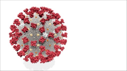 Realistic 3D animation of the Coronavirus 2019-nCoV Wuhan. SARS-CoV-2 known as 2019-nCoV, COVID-19. Seamless loop.
