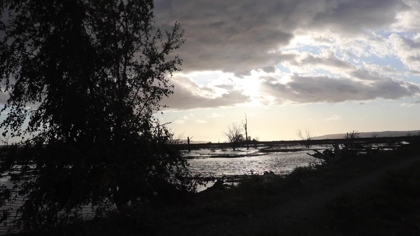 Sun peaking out of epic clouds and shining down on water and a tree.