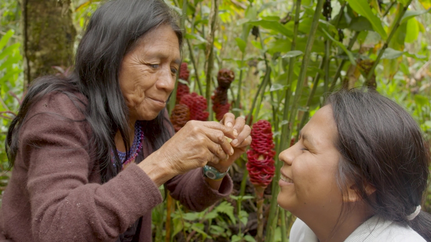 indigenous old woman applying natural medicine to the eyes of a young indigenous woman in the amazon rainforest Royalty-Free Stock Footage #1047589429
