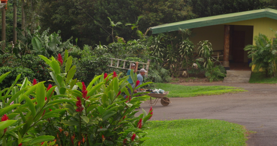 Workers go through a coffee plantation. Costa Rica, San Jose, 2019