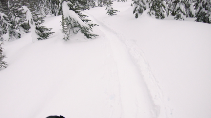 Splitboard POV Perspective Hiking in Snow Covered Mountain Forest