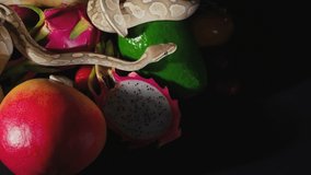 Video of exotic fruits and crawling royal pythons
