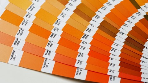 Pantone Color Chart Stock Video Footage 4k And Hd Video Clips Shutterstock