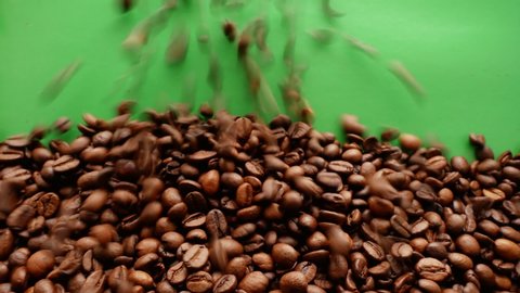 Coffee background on green screen.HQ coffee transition video. Falling coffee concept. Top view of freshly roasted coffee beans