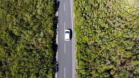 4K Top view aerial drone footage of a white economy car driving by the asphalt road leading in the green forest on Madera island, Portugal. Safety transport concept UHD TV video.