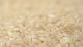 Closeup view video of white uncooked rice falling down on table