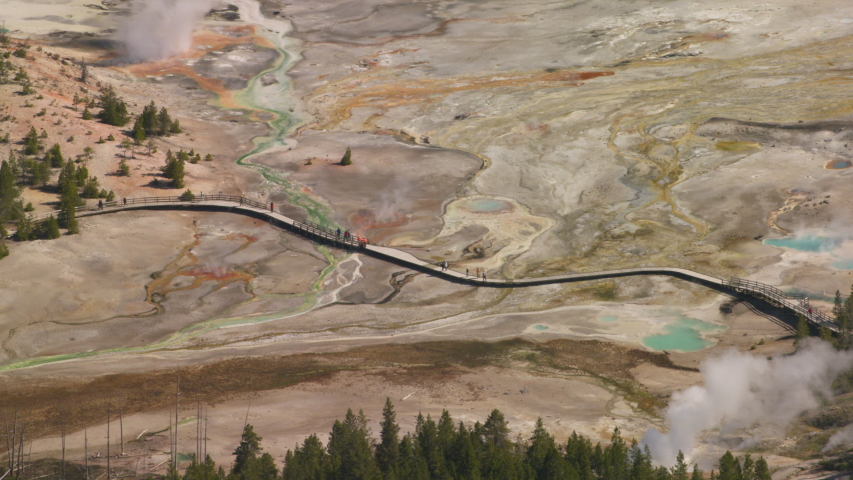 Porcelain Basin, a small group of bright turquoise hot springs and geysers sit in the Norris Geyser Basin within Yellowstone National Park
