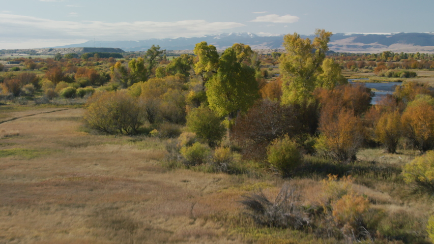 The Madison river winds through the bright autumn colors of changing Cottonwood, scrub oak and grasses in the Madison Valley, in southwestern Montana