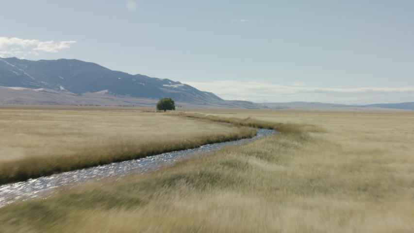 Flying over small creek in field, southwestern Montana.
