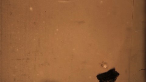 Old film strip burn with bubble