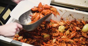 Video of someone scooping cooked boiled crawfish out of a cooler