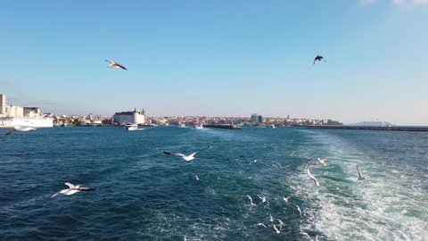 Seagulls flying behind the ferry crossing the Bosphorus Strait in Istanbul, Turkey