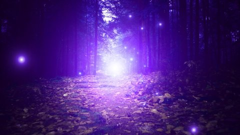 Walking on a dark, scary forest root path in pink coloured forest with flying glowing fireflies. 