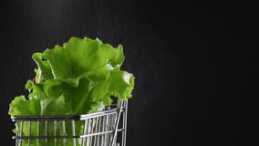 Leaves of a fresh green lettuce salad are moving slowly on a black background. Water spray drops on fresh vegetables. Close-up. Full HD video Full HD 1920x1080. Slow motion. Space for text.