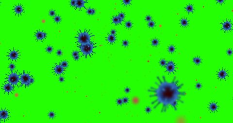 3D rendering animation, blue coronavirus cells covid-19 influenza flowing on chroma key green screen background as dangerous flu strain cases as a pandemic medical health risk concept of disease cells