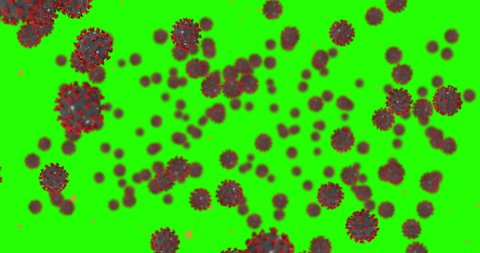 3D rendering animation, coronavirus cells covid-19 influenza flowing on chroma key green screen background as dangerous flu strain cases as a pandemic medical health risk concept of disease cells risk