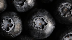 Fresh organic blueberry in extreme close up macro