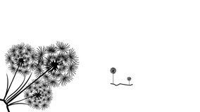 Fluffy nice dandelion with grass on transparent background. Wind blows, dandelions bow. Seeds come off a flower and fly away. Concept propagation. Animation with included alpha channel.