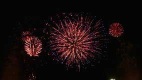 gorgeous fireworks. fireworks background hd video