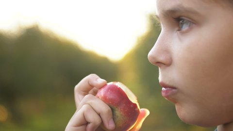 Child Girl Eating Organic Apple in the Garden. Harvest Concept. Close up