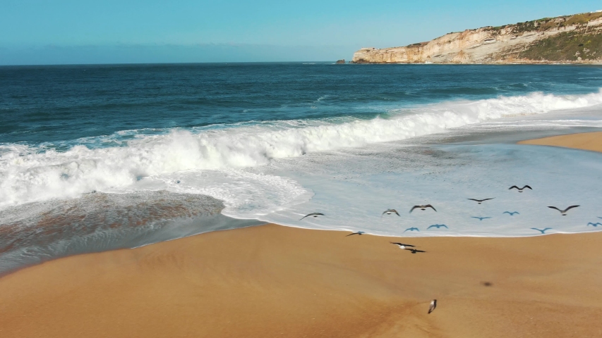 seagulls fly above tranquil ocean waves rolling on sand beach against hilly landscape and distant horizon drone view