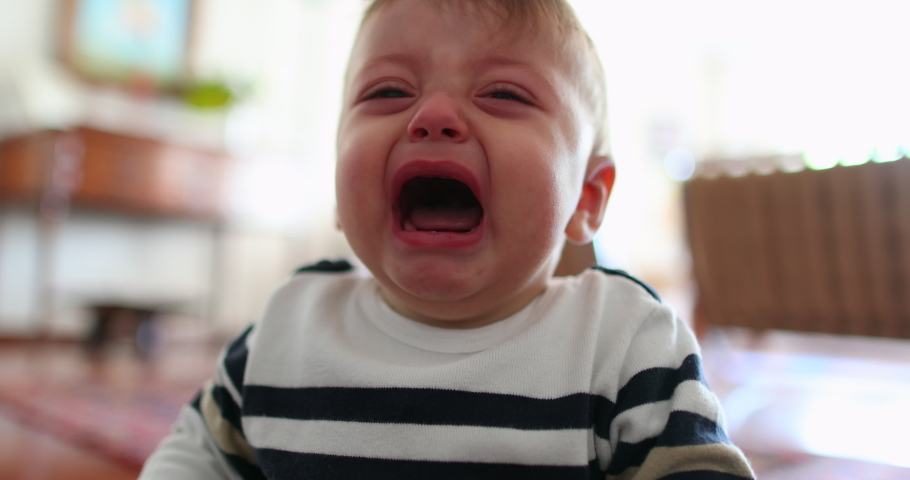 Baby boy tantrum. Infant toddler crying. Toddler seeking support Royalty-Free Stock Footage #1047789787