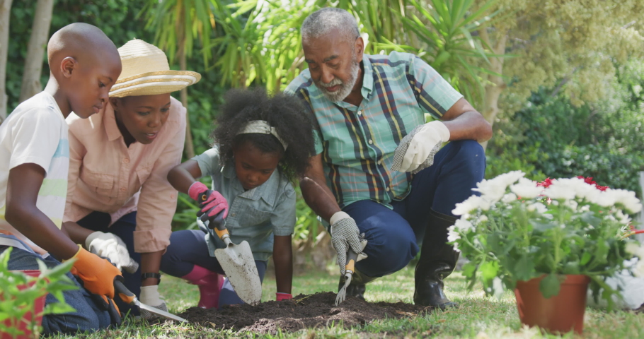 Front view of a multi-generation multi-ethnic family having a good time in a garden, kneeling, planting flowers, digging in the ground with shovels and a rake, on a sunny day, in slow motion Royalty-Free Stock Footage #1047791290
