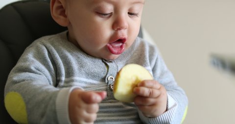 Toddler baby infant taking a bite of an apple fruit